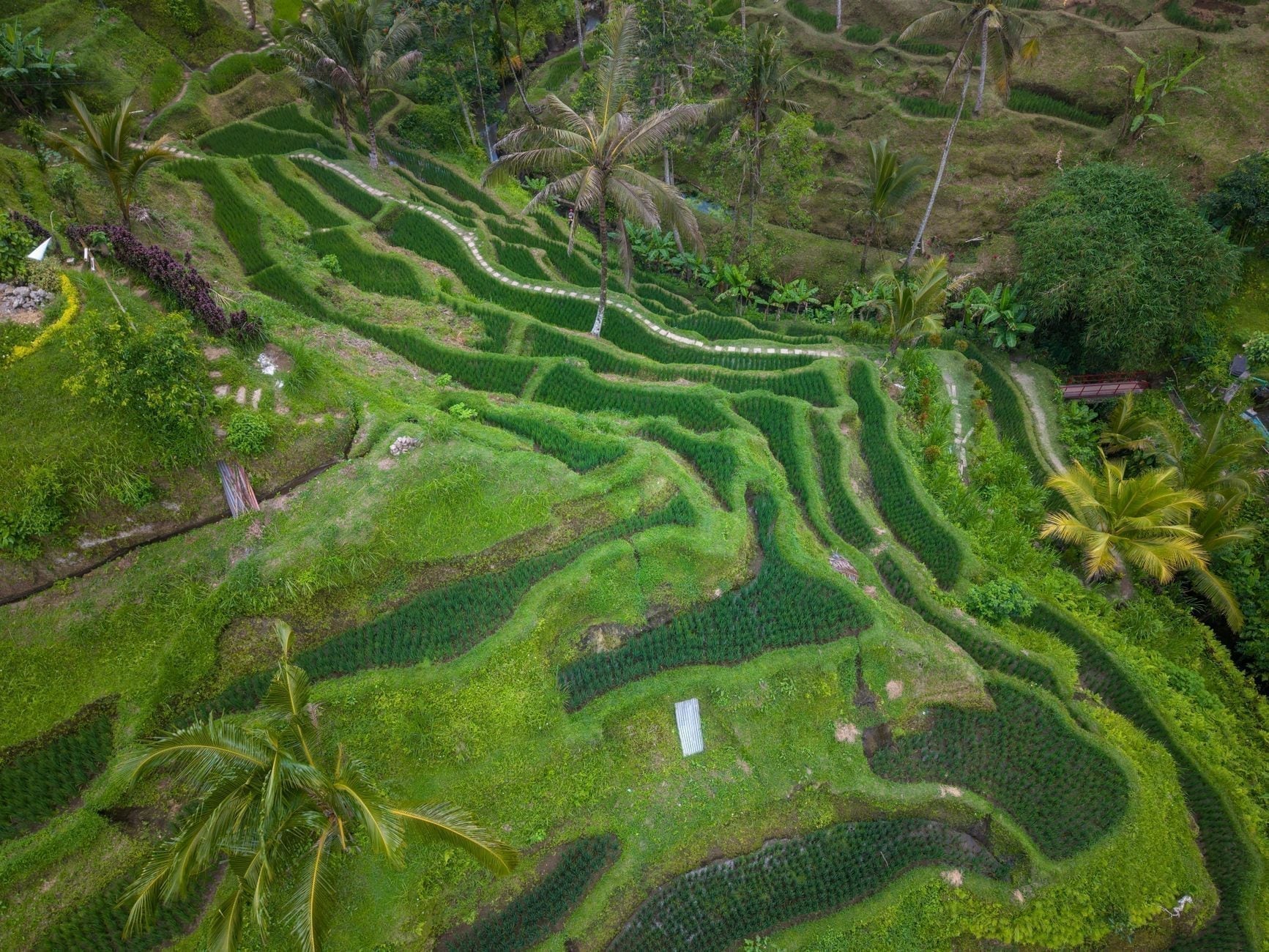 Indonezja (Bali)