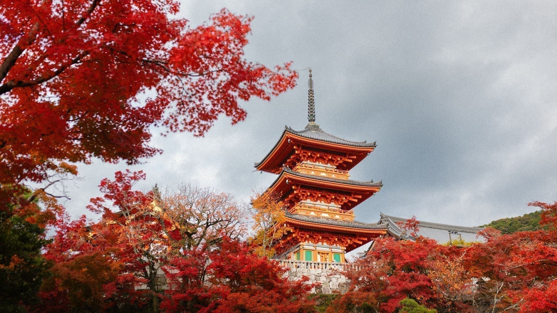 Japonia 3
