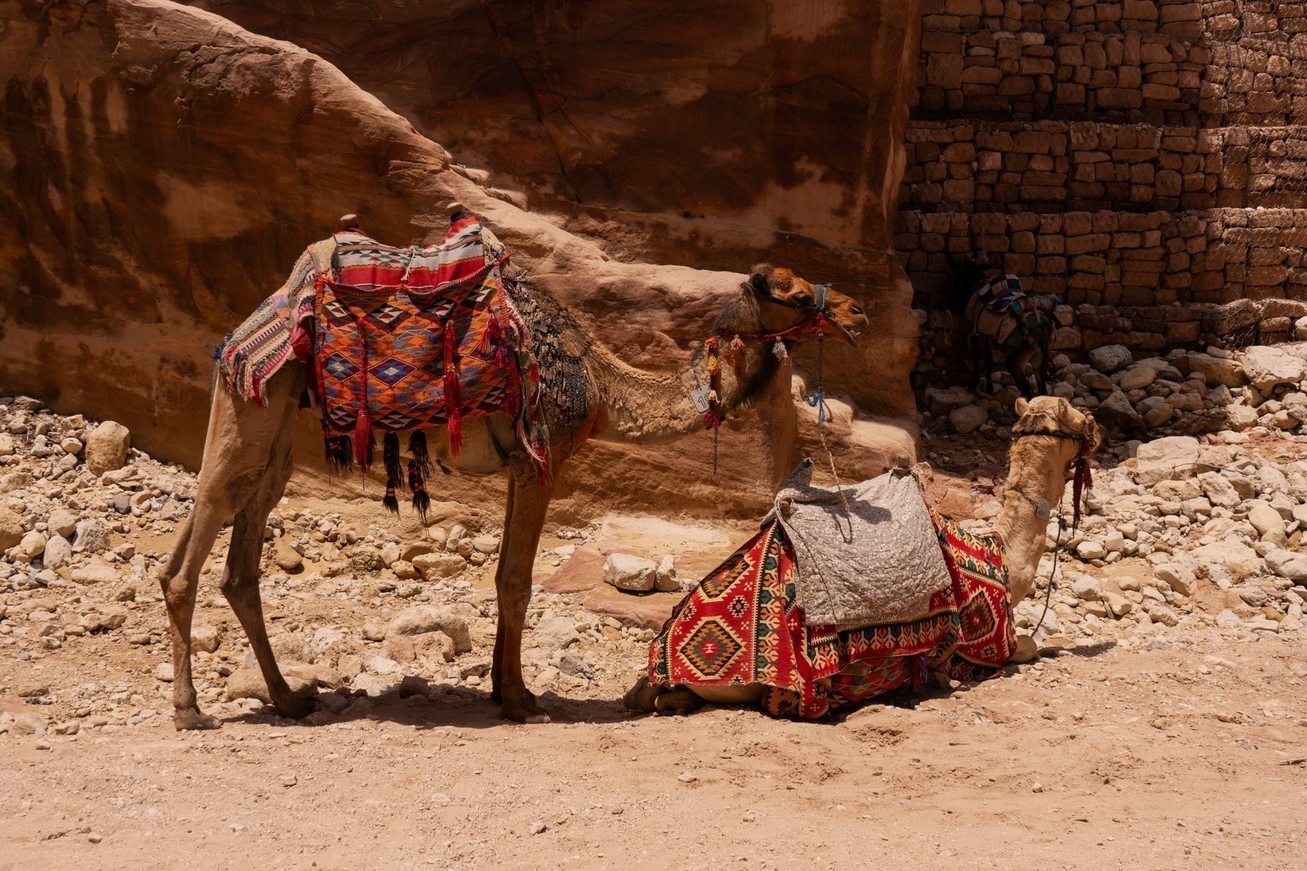 Jordania 3