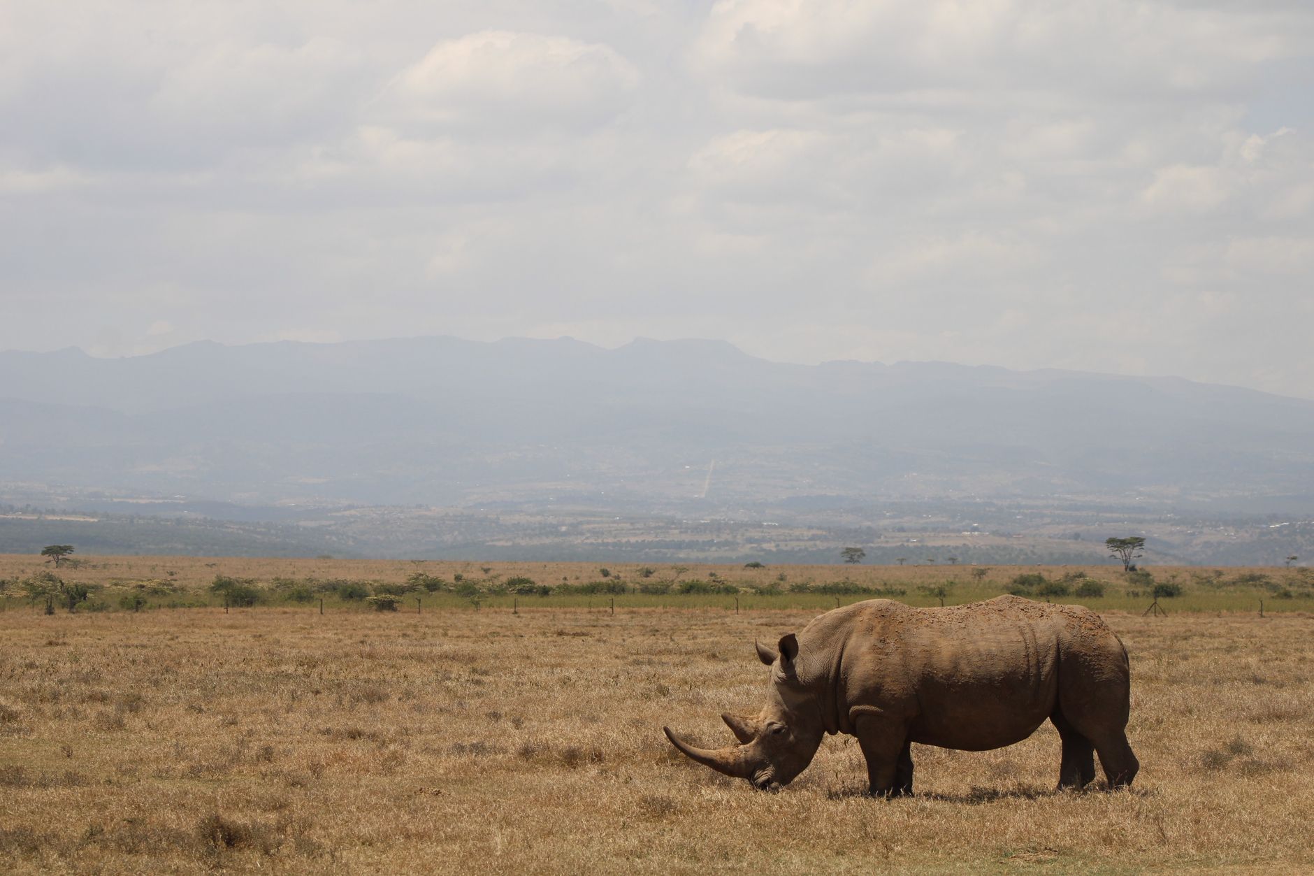 Kenia 1